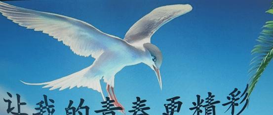 梦想之路-第1张图片-学作网