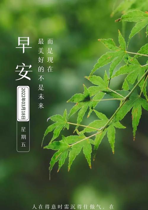 早起的力量-第1张图片-学作网