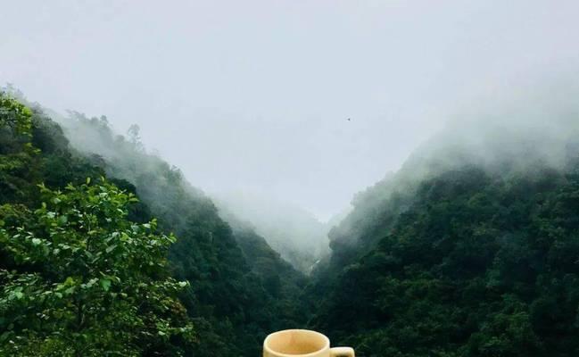 喝一杯清茶，遇见彼岸（从喜欢到相爱的故事）-第2张图片-学作网