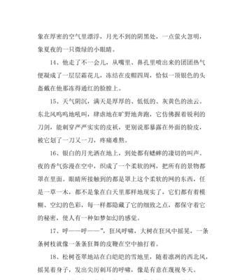 冬之歌（一个季节的美丽和感动，很多故事也在这里上演。）-第1张图片-学作网