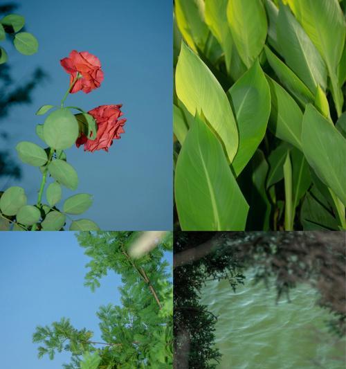 一：夏日的海滩-第3张图片-学作网