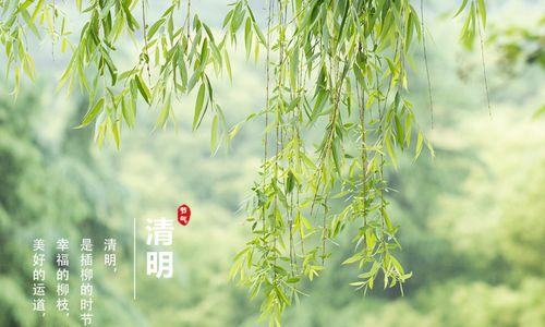 清明祭扫（感受祖先的关爱）-第3张图片-学作网