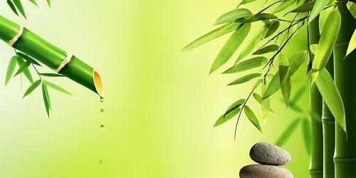 母鸡的课堂（探寻成长的秘密）-第3张图片-学作网