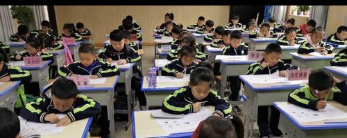 新同学的故事（一个不一样的女孩）-第1张图片-学作网