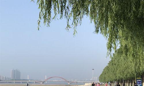 秋山秋水（那场遇见）-第3张图片-学作网