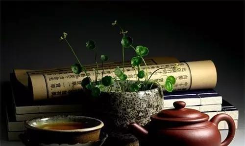 茶的妙处——一个茶农的故事（探寻茶叶背后的故事）-第1张图片-学作网