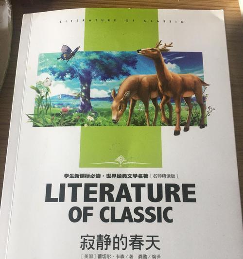 一缕阳光般的温暖（一缕阳光般的温暖）-第2张图片-学作网