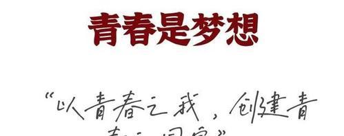 青春，我们的时光（挥洒汗水、执着追求的岁月）-第3张图片-学作网