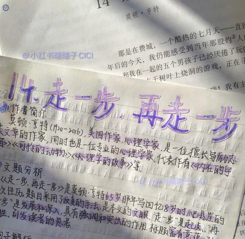 一步步，迈向成长之路（坚持走，才能获得成果）-第3张图片-学作网