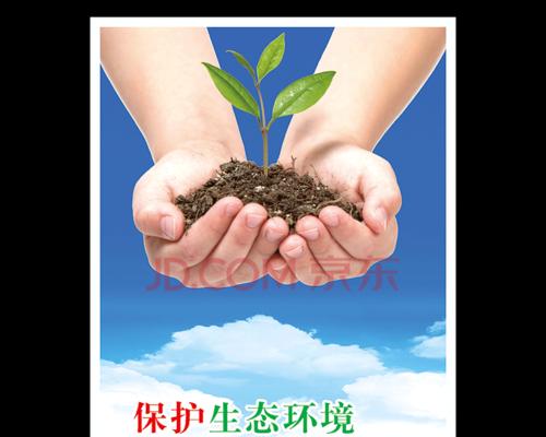 植物小英雄（一个不一样的生态保护者）-第1张图片-学作网