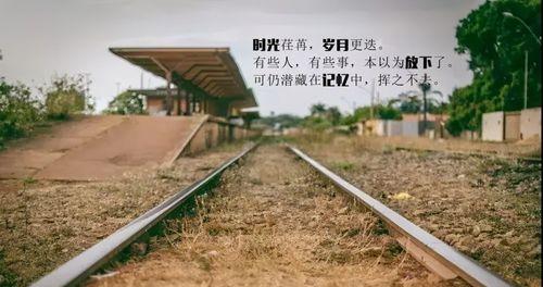 生活感悟——从一份不满到领悟（曾经感慨人生无望，如今深知顺境逆境都是人生旅途中的经历）-第1张图片-学作网