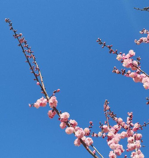 友谊春暖花开-第1张图片-学作网