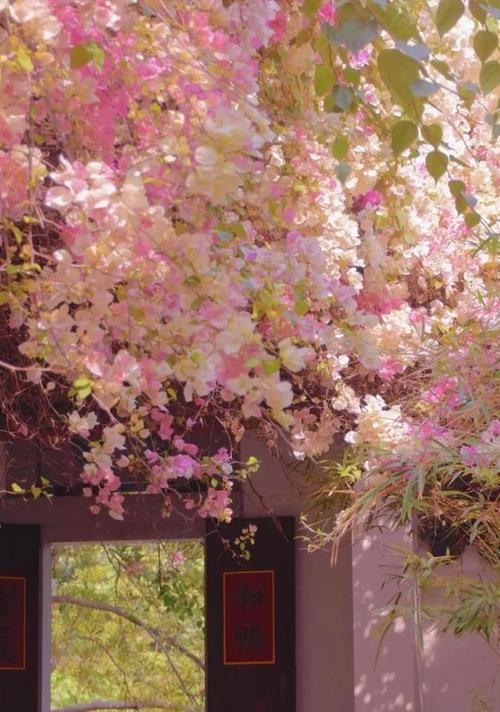 温暖光芒（寻找生命的方向）-第2张图片-学作网