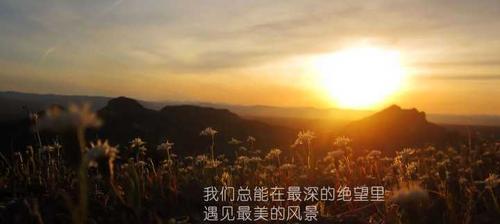 爱是一种力量，只要用心去感受（爱是一种力量，只要用心去感受）-第1张图片-学作网