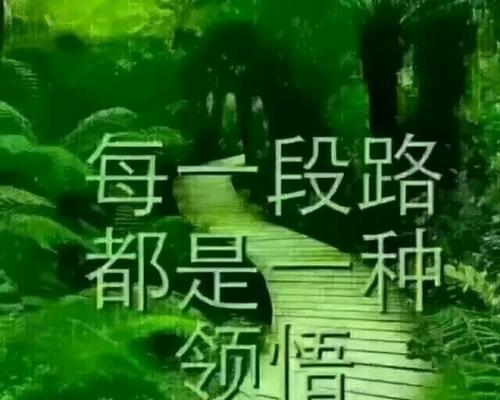 珍惜眼前人（只有失去，才知道那是珍宝）-第3张图片-学作网
