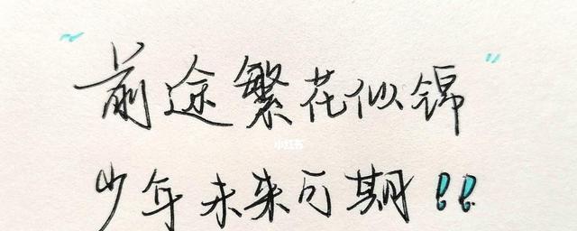 勇往直前，未来可期——一个普通人的奋斗史（以勇敢奋斗，迎接未来）-第2张图片-学作网