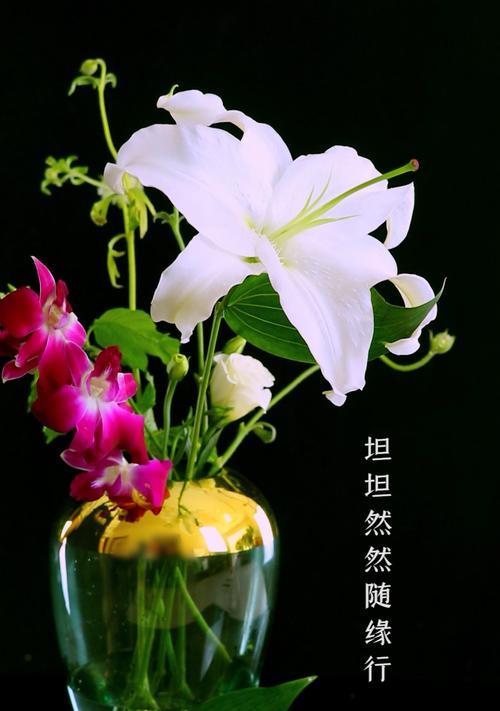 珍惜所有（一位少年与他的家人）-第3张图片-学作网