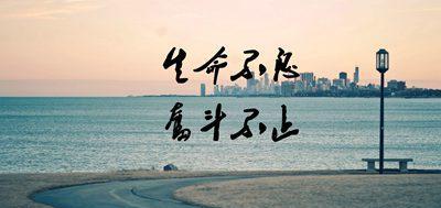 奋斗之路（奋斗之路）-第3张图片-学作网