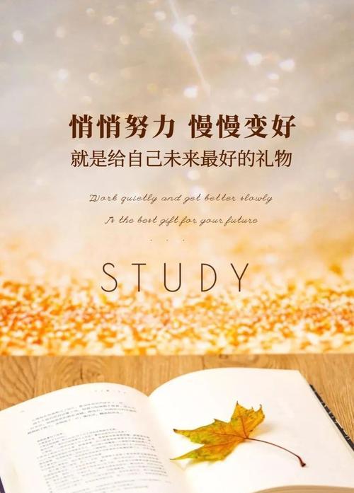 想当主角的奋斗（成功不是靠努力就能得到的）-第2张图片-学作网