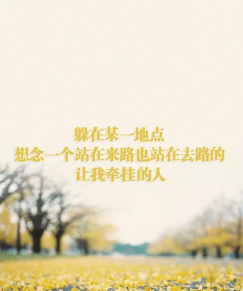 思念的魔力（一段无言的陪伴）-第2张图片-学作网