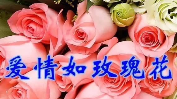 真心相待（友谊是无价之宝）-第1张图片-学作网