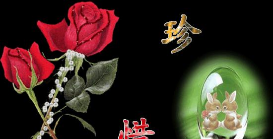 珍惜现在：放下心中的“如果”-第2张图片-学作网