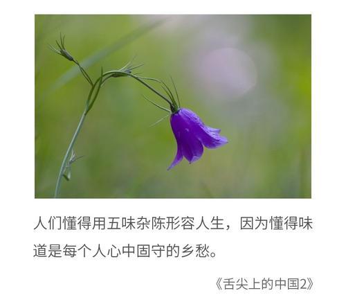 寻找真爱的路上（寻找真爱的路上）-第2张图片-学作网