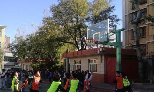 绿色竞技场（喜怒哀乐在这里交汇）-第2张图片-学作网