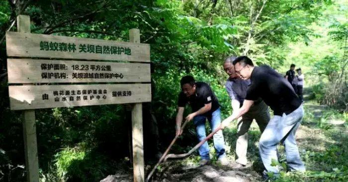 一颗树苗的成长（用心培育，见证奇迹）-第1张图片-学作网