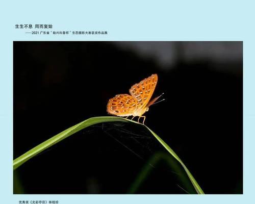幸福永续——父亲的故事（一个人的幸福之路）-第2张图片-学作网