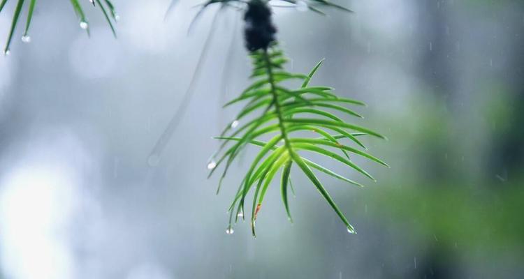 那一天，我们感受到了短暂时光的魅力（在急匆匆的生活中，你是否已经错过了很多美好？）-第3张图片-学作网