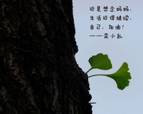 妈妈，我想你了（十年的思念与叮嘱）-第1张图片-学作网