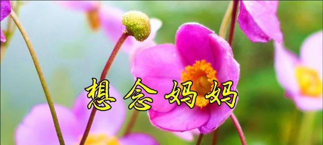 妈妈，我想你了（十年的思念与叮嘱）-第3张图片-学作网