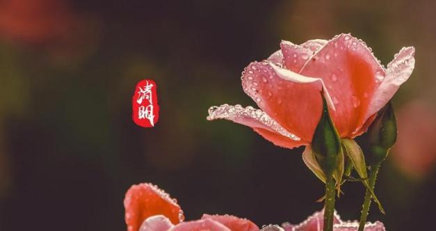 父女之间的牵挂（距离之间的思念）-第1张图片-学作网