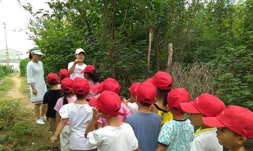 跨越困境的大学生活（挫折与成长的奇妙旅程）-第1张图片-学作网