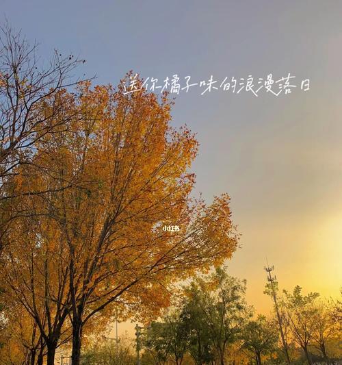以美好的日子过得慢一些（一个人的悠闲时光）-第1张图片-学作网