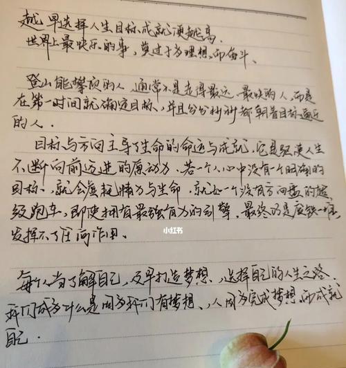 追寻理想，不放弃奋斗（一个小人物的奋斗故事）-第3张图片-学作网