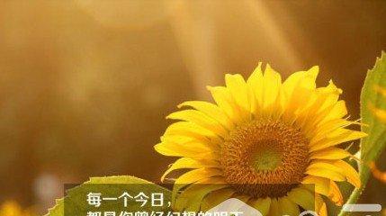 期盼，梦想的彼岸（期待的等待，坚定的追求）-第3张图片-学作网