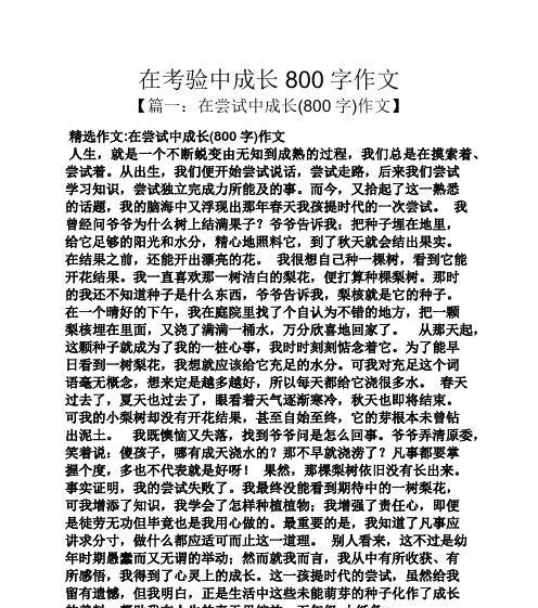 一个年轻人的成长故事（一个年轻人的成长故事）-第3张图片-学作网