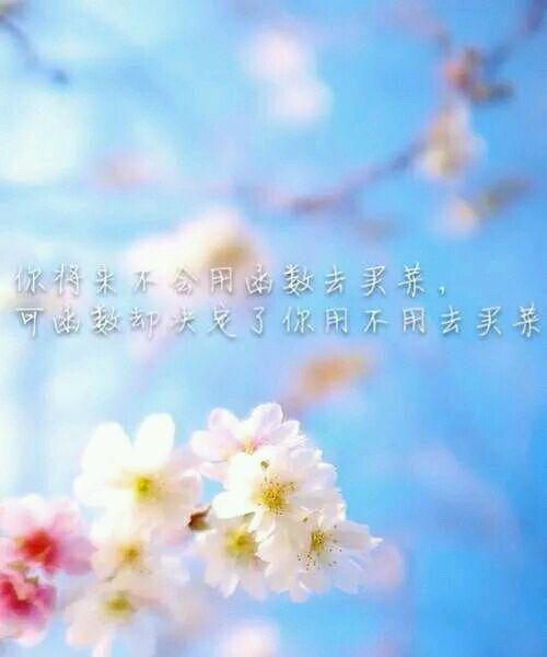 不放弃的人生（奋斗不息，成功必定）-第2张图片-学作网