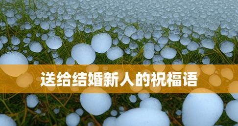 千言万语（心灵的故事）-第3张图片-学作网
