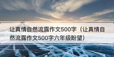 真情不短暂：一段深情的爱情故事-第3张图片-学作网