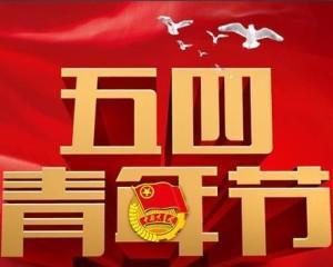 青春如风筝（飞翔梦想，随心所欲）-第3张图片-学作网