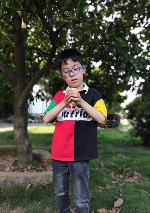 学溜冰的乐趣（在冰场上畅游）-第1张图片-学作网