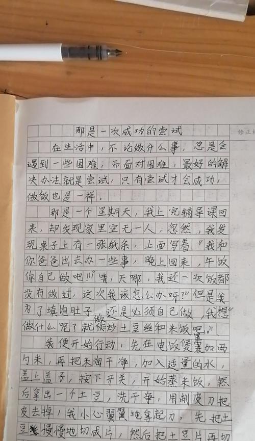 一次成功的尝试（跨越障碍，勇往直前）-第2张图片-学作网