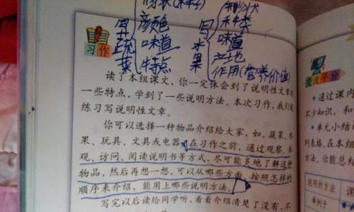 TheApplethatChangedaLife（AStoryofHowOneFruitCanMakeaDifference）-第1张图片-学作网