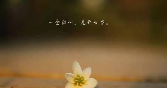 岁月流转（生命的短暂与永恒）-第3张图片-学作网
