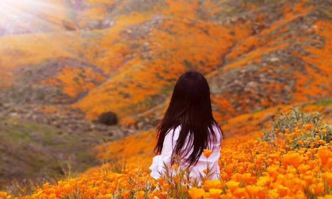 风景无限，人生多彩（一个突破的旅程）-第3张图片-学作网