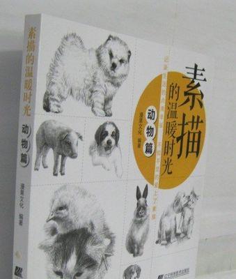 温暖时光（一个关于爱情的小故事）-第3张图片-学作网