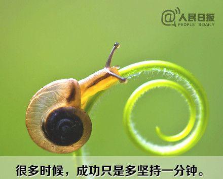 一个山村小伙子的奋斗之路（一个山村小伙子的奋斗之路）-第2张图片-学作网